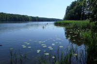 Plaża Kocierz